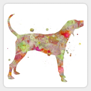 American Coonhound Dog Watercolor Painting Magnet